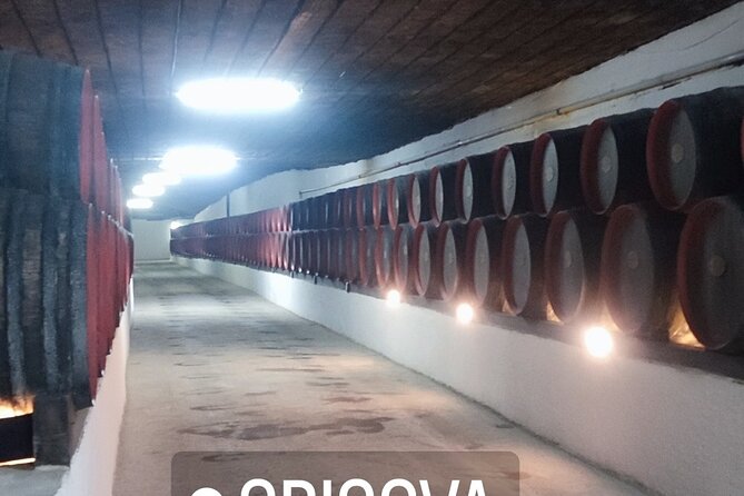 1 Day: Wine tasting tour to Milesti Mici and Cricova cellar from Moldova - What to Bring for a Comfortable Tasting Day