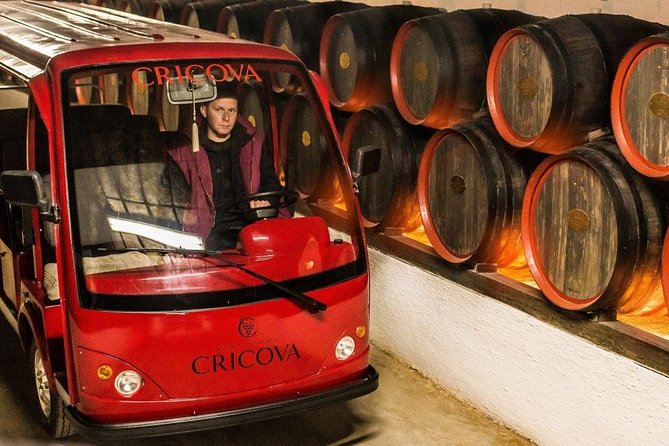 2 Excursions in One Day - Cricova Winery,Tiraspol City and Bender Fortress! - Lunch and timing: keeping an 8-hour day comfortable