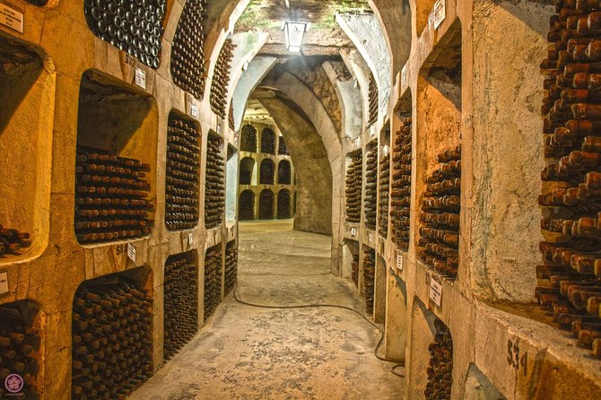 2 Excursions in One Day-Milestii Mici Winery, Tiraspol City and Bender Fortress - Price and value: is $213.88 fair for two destinations?
