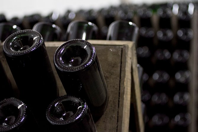 4 Hours Cricova Winery Tour with Tasting - Price and Value for $93.46: Is It Worth the Cost?