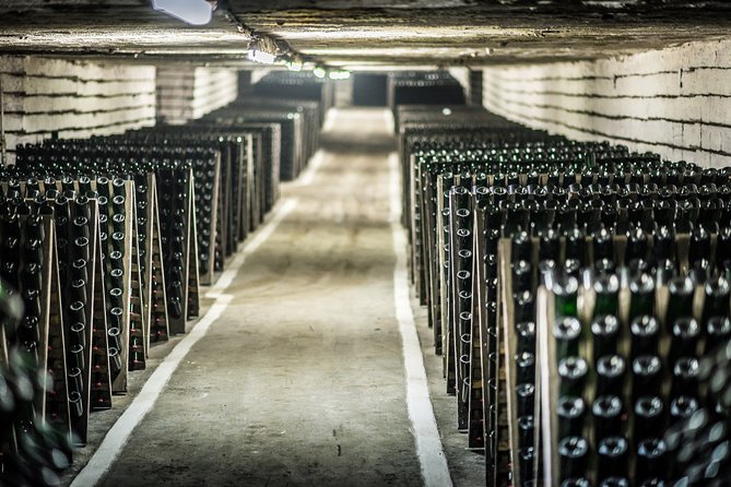 4 Hours Cricova Winery Tour with Tasting - What I Think Makes This Tour Click for the Right Person