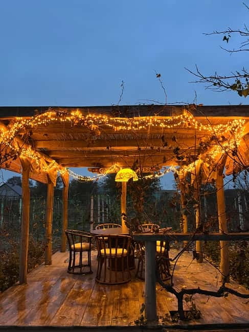 All inclusive Gagauzia: Wine-tasting, Cooking & Lunch! - Gagauz Sofrası in Kongaz: feast, wine tastings, and folklore