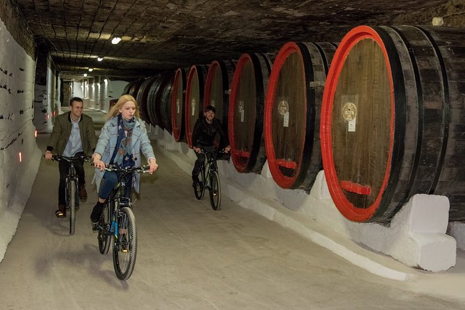 Biking a Guinness Book Winery - Quick Snapshot: What You’re Actually Getting