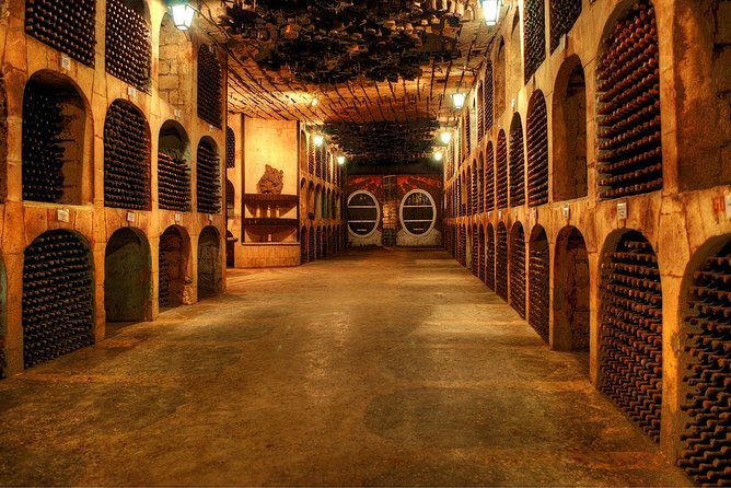 Biking a Guinness Book Winery - Key Things That Make This Tour Worth Your Time