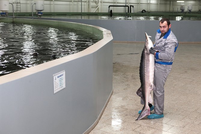 Black Caviar and Sparkling Wine Tour - Getting there at Aquatir, and planning a clean two hours