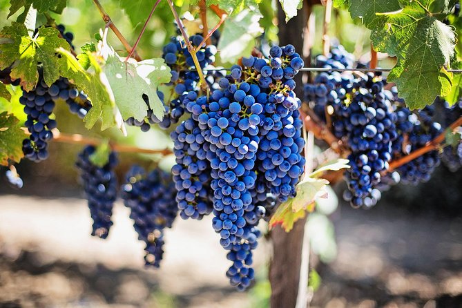 Chisinau City Tour - Cricova Winery - Start in Chisinau: Getting Your Bearings in a City of Mixed Eras