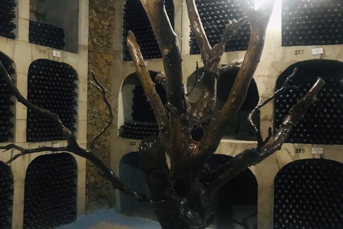 Cricova & Milestii Mici Wineries - Transfers, language, and the small comforts that matter
