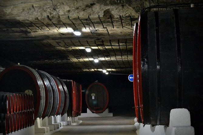 Cricova Winery & SPA Visit - Snacks, Wine, and the Underground Timing Advantage