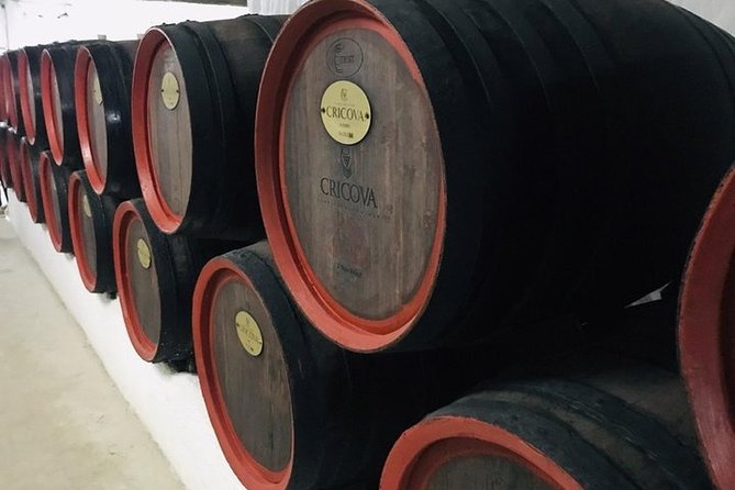 Cricova Winery & SPA Visit - Pickup Across Chisinau and Private English Support