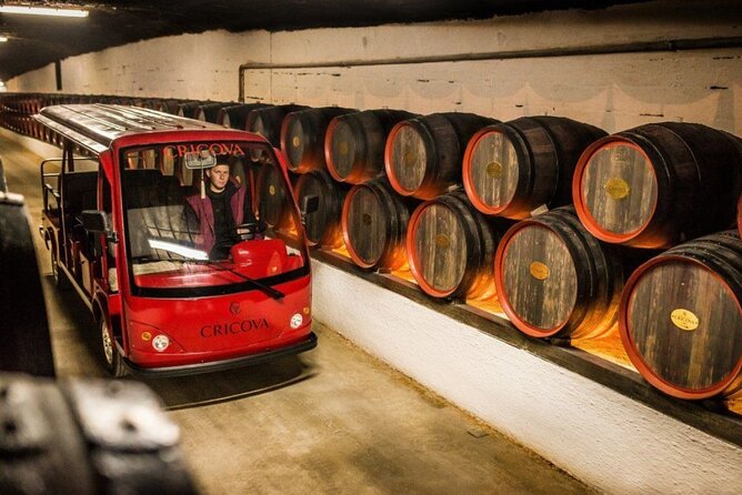 CRICOVA Winery tour with tasting from Chisinau - Key things that make this Cricova tour worth your time