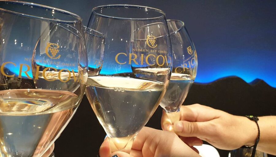 Day trip to Moldova - visit Chisinau and Cricova Winery - A 12-hour Chisinau and Cricova day trip from Iași