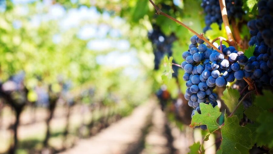 Day trip to Moldova - visit Chisinau and Cricova Winery - Chisinau after war and rebuilding: Holy Gates, Arc de Triomphe, and Prince Stefan