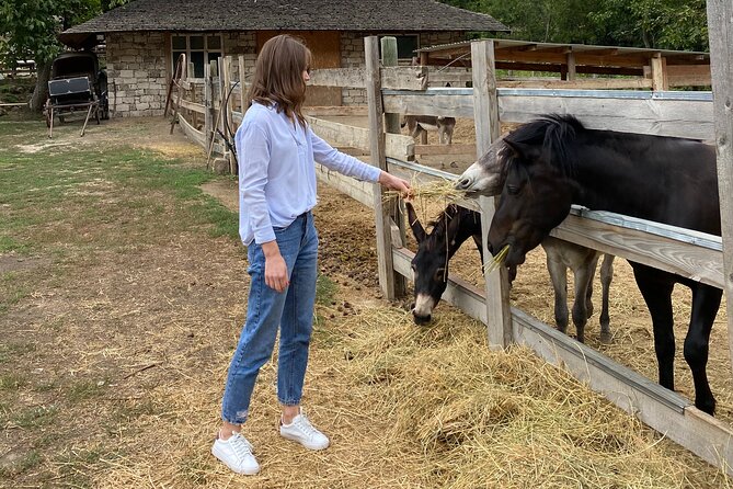 Half-Day Private Guided Tour of Orheiul Vechi and a Farmhouse - Timing, walking, and what to bring