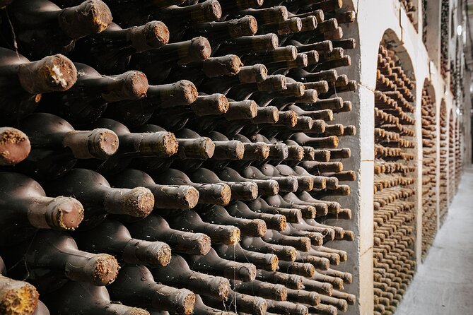 Milestii Mici Underground Winery Tour INCLUDING Wine tasting - Practical Details That Make It Go Smooth