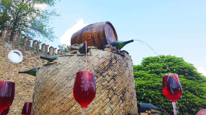 Moldova: Wine Tour to Mileștii Mici Cellar with Tasting - Getting There and Back: The 4-Hour Rhythm That Works