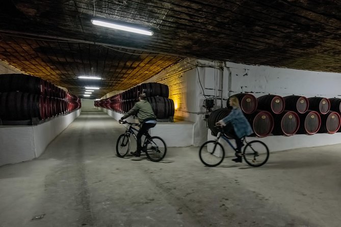 Private Bike Tour to Cricova Winery with wine tasting and lunch - Key things I’d circle before you go