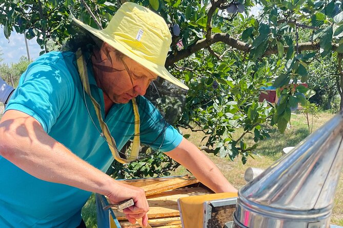 Tour of Capriana Monastery, Honey Mansion & Crama Mircești Winery - The drive time and pacing, how to plan your day