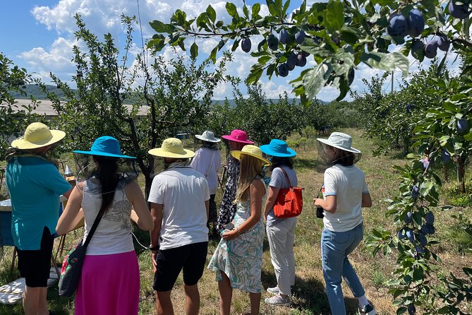 Tour of Capriana Monastery, Honey Mansion & Crama Mircești Winery - Practical value checklist before you book