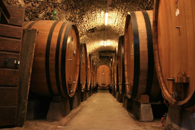 Transnistria tour & Cricova Cellar with tasting - What You Get Included, and What You Pay For Directly